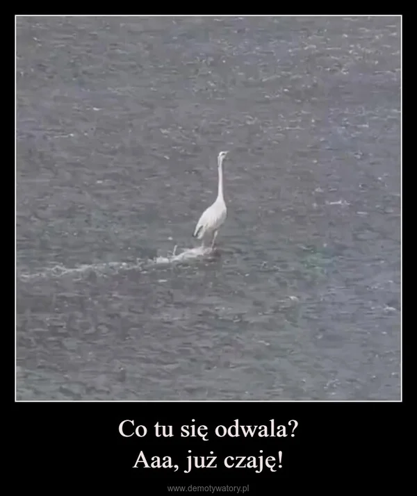 
    Co tu się odwala? Aaa, już czaję!