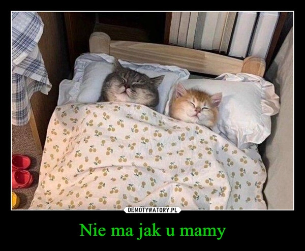 
    Nie ma jak u mamy