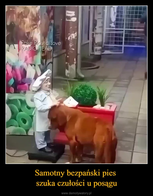 
    Samotny bezpański pies szuka czułości u posągu