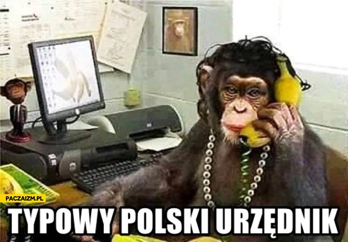 
    Typowy polski urzędnik