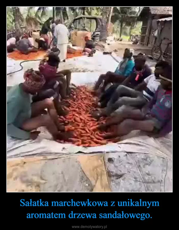 
    Sałatka marchewkowa z unikalnym aromatem drzewa sandałowego.