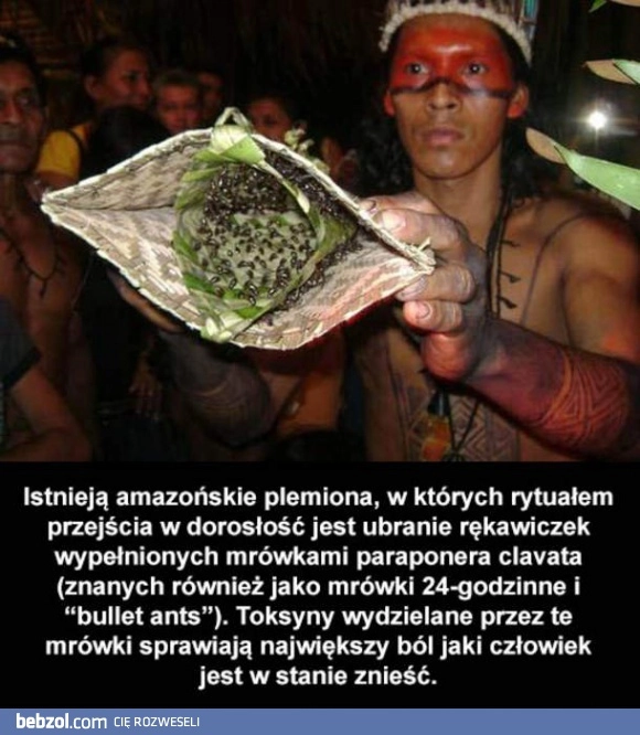 
    Co ty wiesz o bólu?