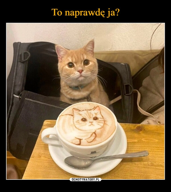 
    To naprawdę ja?