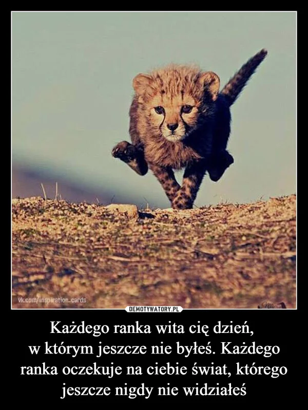 
    Każdego ranka wita cię dzień, w którym jeszcze nie byłeś. Każdego ranka oczekuje na ciebie świat, którego jeszcze nigdy nie widziałeś