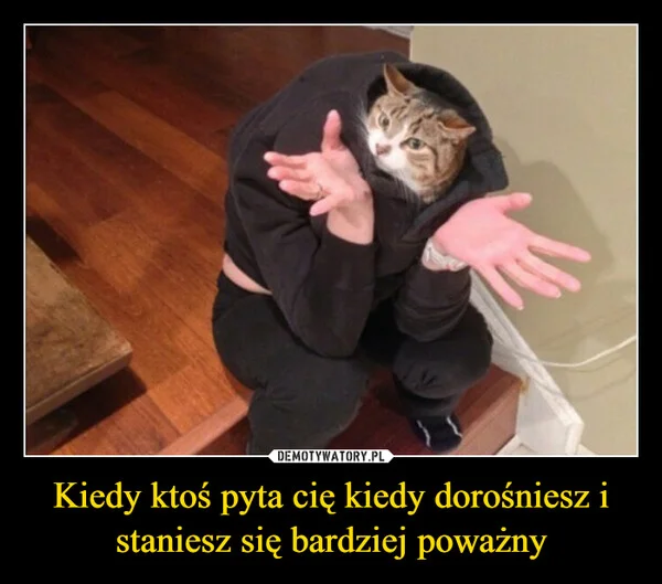 
    Kiedy ktoś pyta cię kiedy dorośniesz i staniesz się bardziej poważny