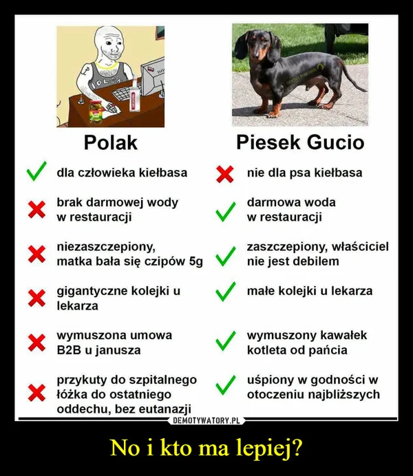 
    No i kto ma lepiej?