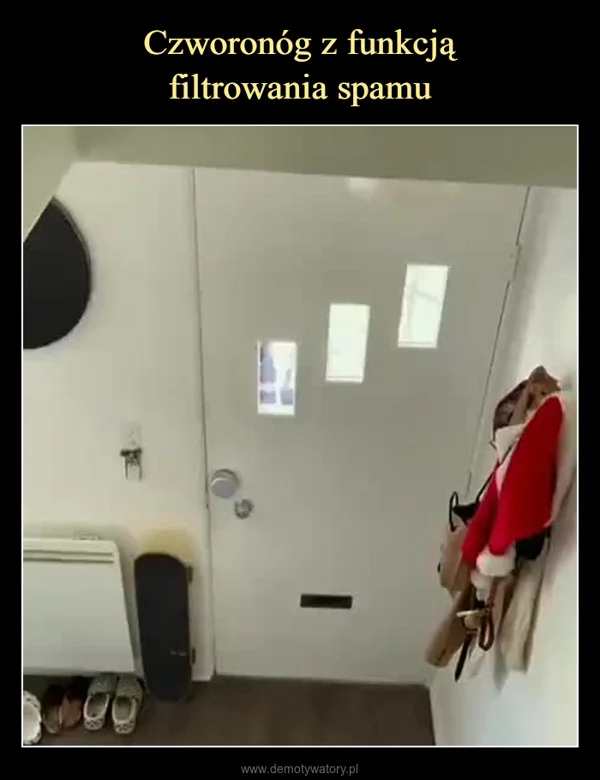
    Czworonóg z funkcją filtrowania spamu