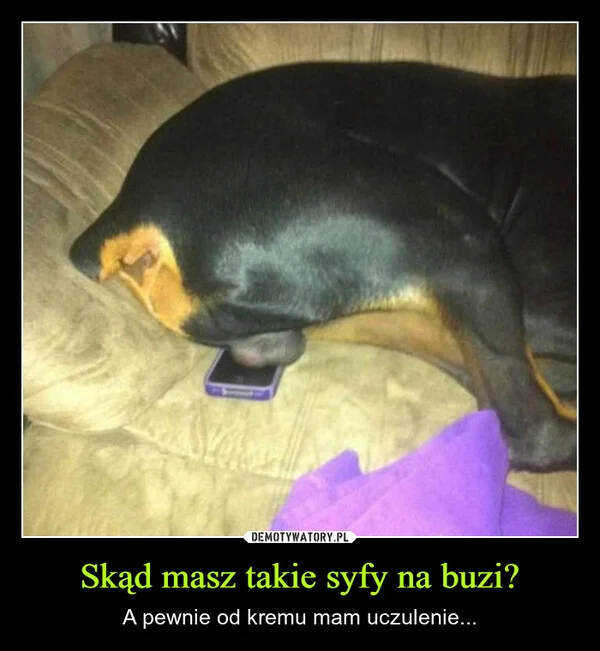 
    Skąd masz takie syfy na buzi?