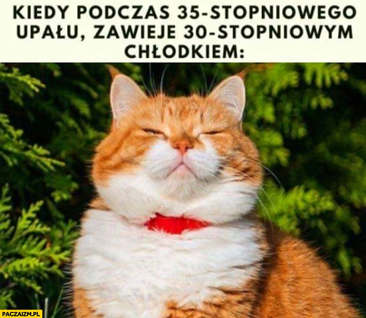 
    Kot kiedy podczas 35 stopniowego upału zawieje 30 stopniowym chłodkiem