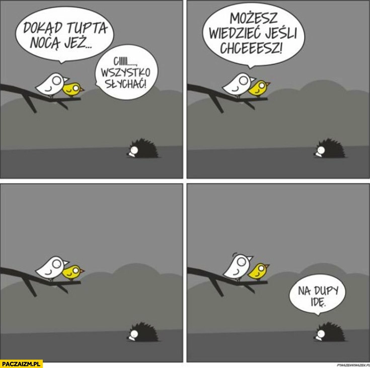 
    Dokąd tupta nocą jeż? Możesz wiedzieć jeśli chcesz, na dupy idę komiks