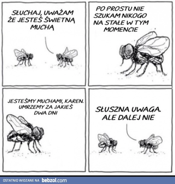 
    Nie szukam nikogo 