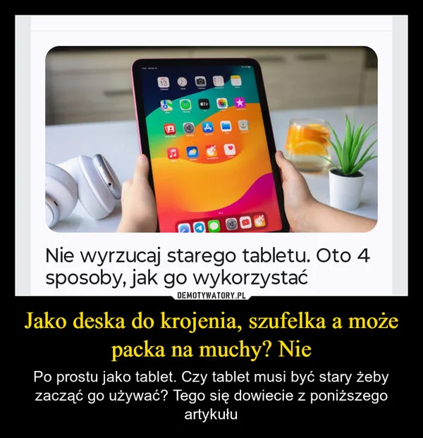 
    Jako deska do krojenia, szufelka a może packa na muchy? Nie