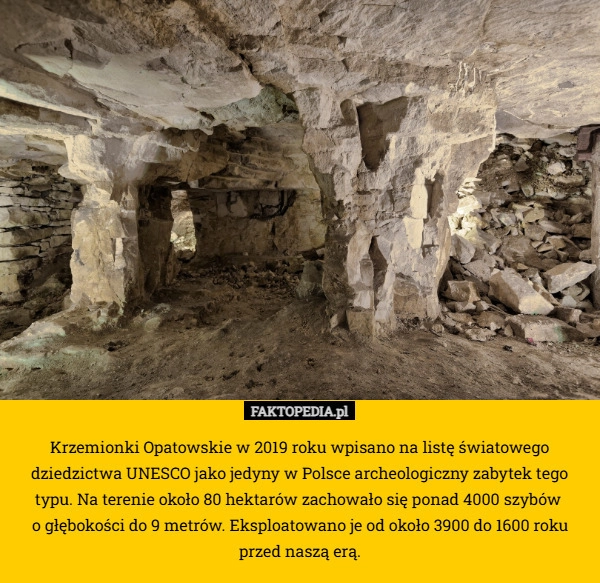 
    Krzemionki Opatowskie w 2019 roku wpisano na listę światowego dziedzictwa