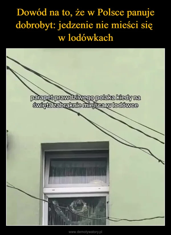 
    Dowód na to, że w Polsce panuje dobrobyt: jedzenie nie mieści się w lodówkach