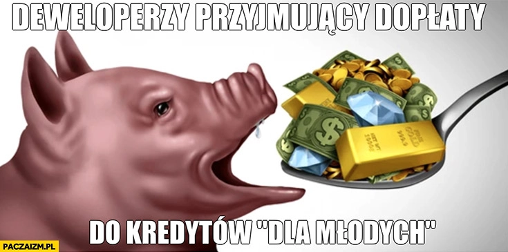 
    Deweloperzy przyjmujący dopłaty do kredytów dla młodych świnia prosię prosiak