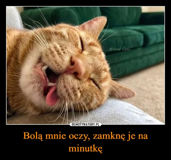 
    Bolą mnie oczy, zamknę je na minutkę
