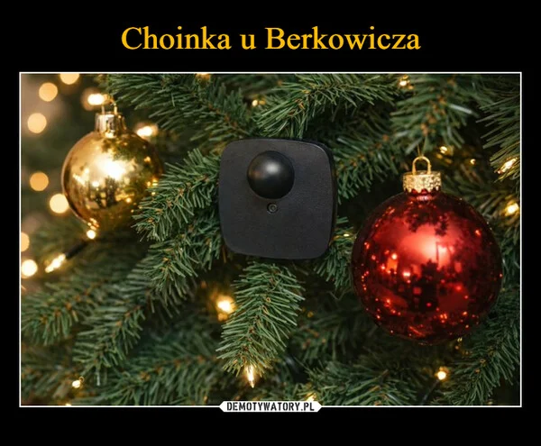 
    Choinka u Berkowicza