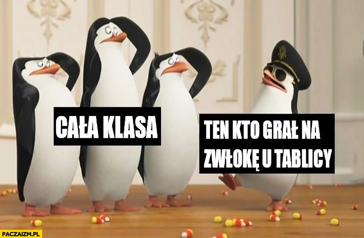 
    Cała klasa, ten który grał na zwłokę przy tablicy salutują mu pingwiny