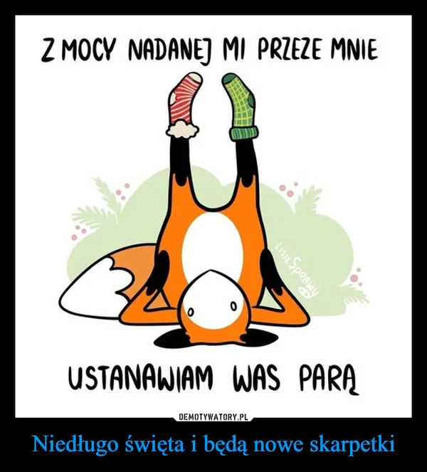 
    Niedługo święta i będą nowe skarpetki