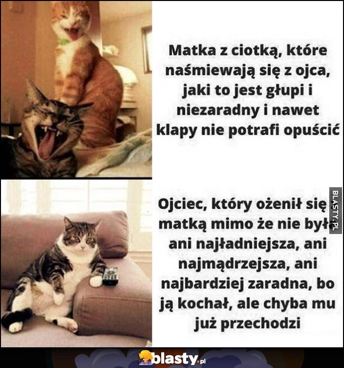 
    Matka z ciotką które naśmiewają się z ojca, że jest głupi i niezaradny vs ojciec który ożenił się bo ją kochał, ale chyba mu przechodzi kot kotek