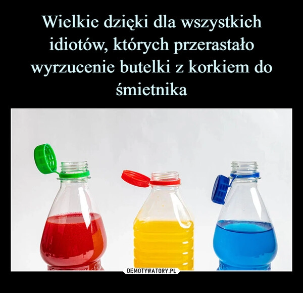 
    Wielkie dzięki dla wszystkich idiotów, których przerastało wyrzucenie butelki z korkiem do śmietnika