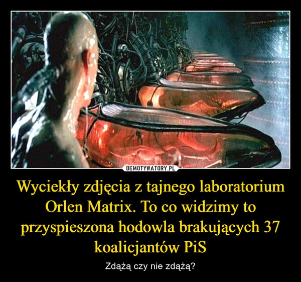 
    Wyciekły zdjęcia z tajnego laboratorium Orlen Matrix. To co widzimy to przyspieszona hodowla brakujących 37 koalicjantów PiS