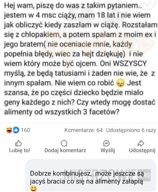 
    Alimenty