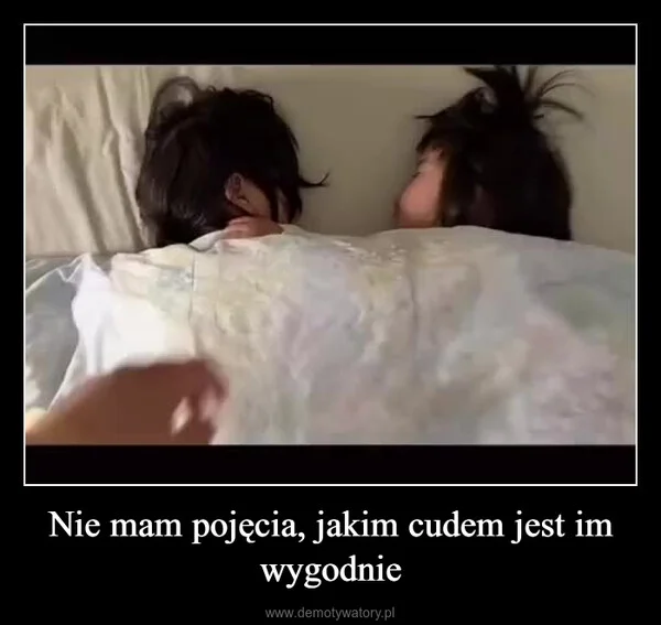 
    Nie mam pojęcia, jakim cudem jest im wygodnie