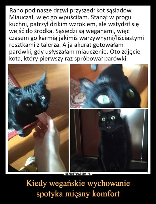 
    Kiedy wegańskie wychowanie spotyka mięsny komfort