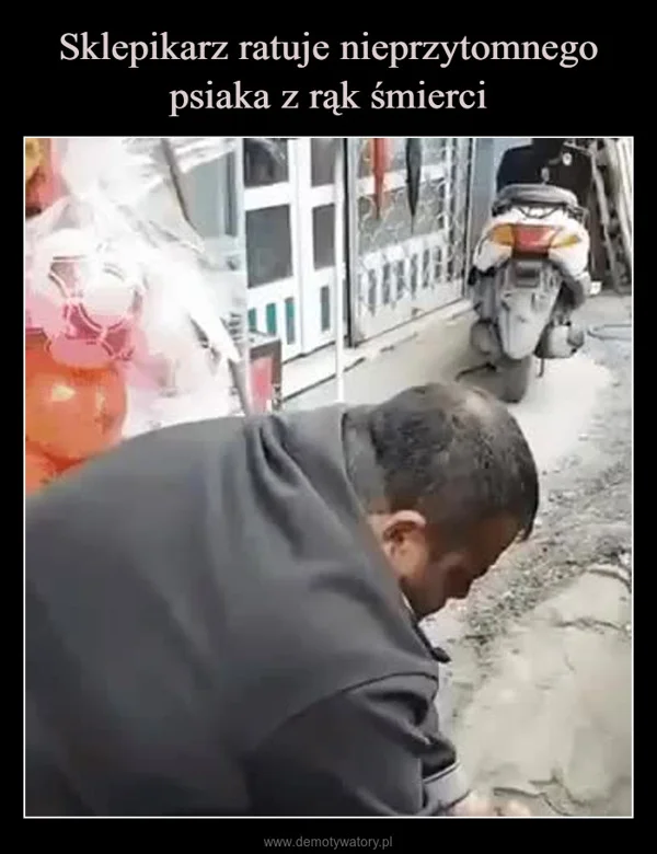 
    Sklepikarz ratuje nieprzytomnego psiaka z rąk śmierci