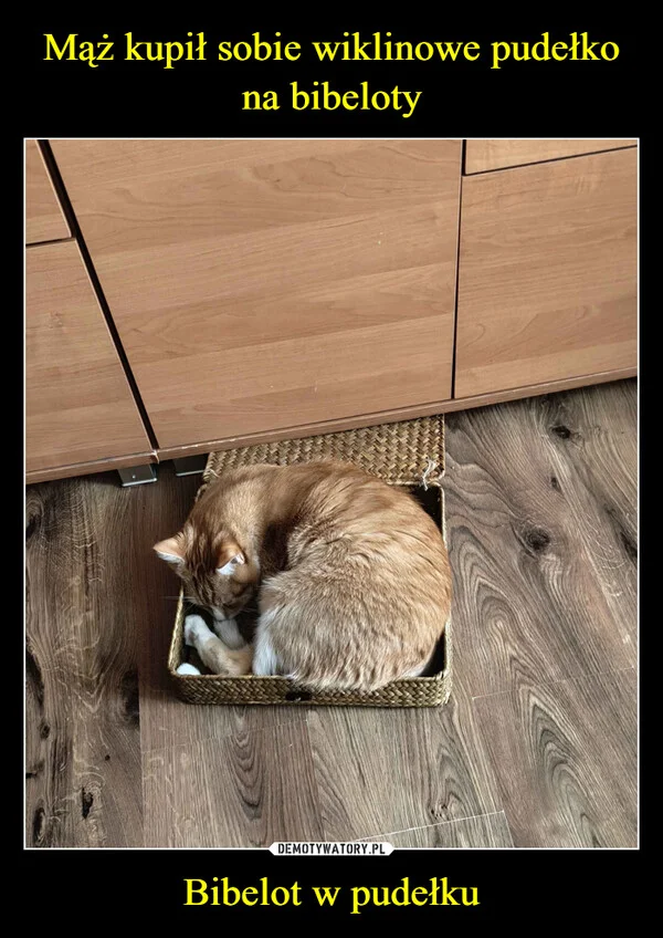 
    Mąż kupił sobie wiklinowe pudełko na bibeloty Bibelot w pudełku