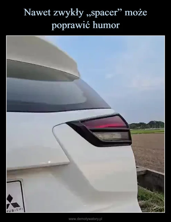 
    Nawet zwykły „spacer” może poprawić humor