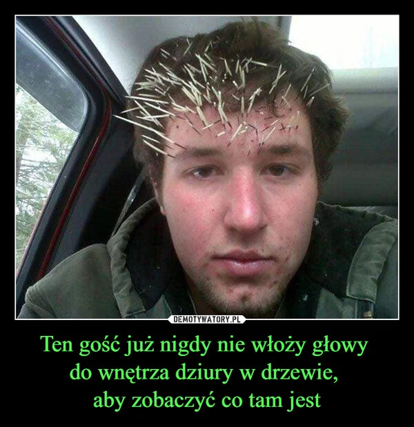 
    Ten gość już nigdy nie włoży głowy do wnętrza dziury w drzewie, aby zobaczyć co tam jest