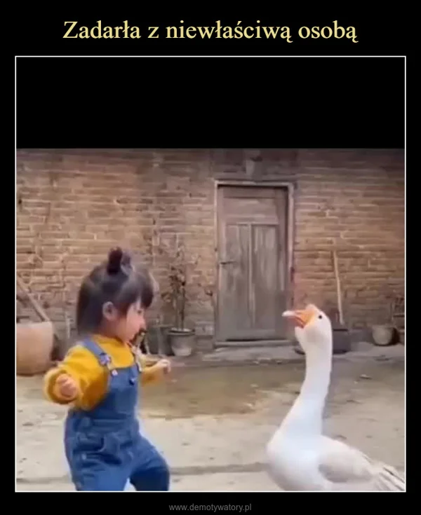 
    Zadarła z niewłaściwą osobą