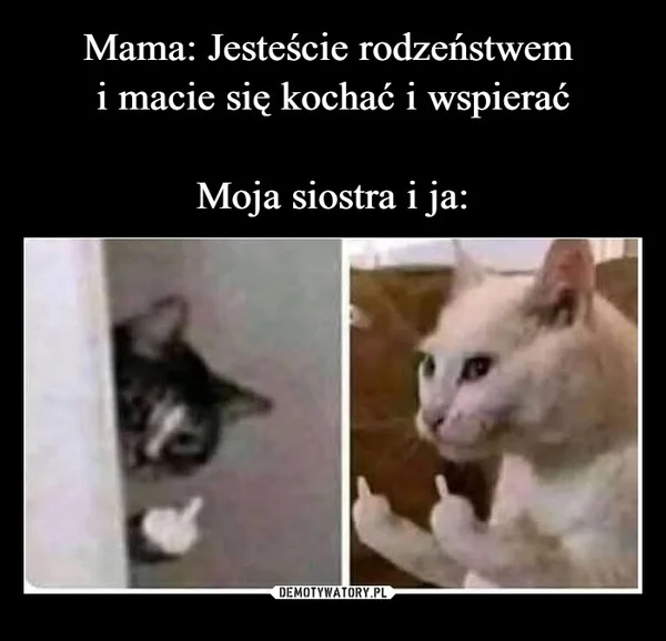 
    Mama: Jesteście rodzeństwem i macie się kochać i wspierać Moja siostra i ja: