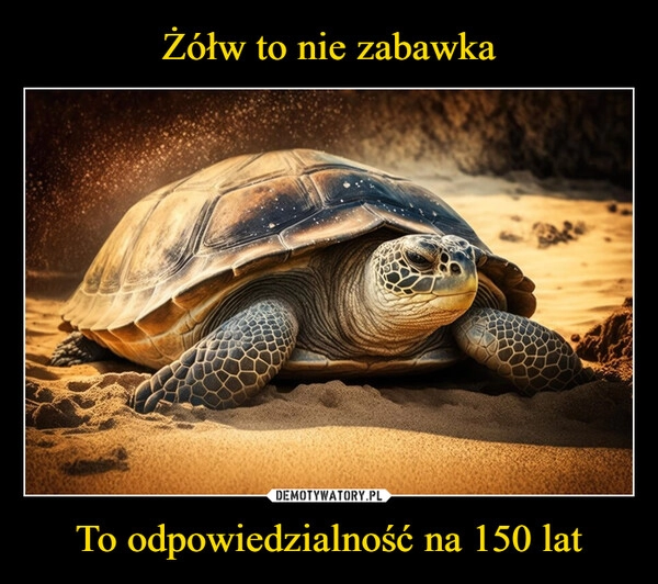 
    Żółw to nie zabawka To odpowiedzialność na 150 lat