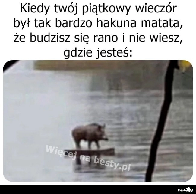 
    Piątkowy wieczór 