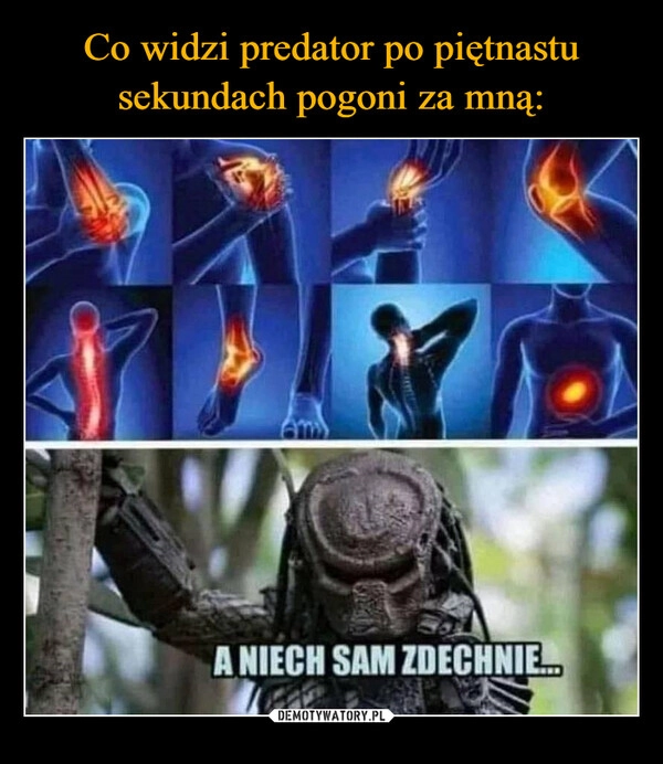
    Co widzi predator po piętnastu
sekundach pogoni za mną: