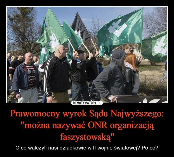 
    Prawomocny wyrok Sądu Najwyższego: "można nazywać ONR organizacją faszystowską"