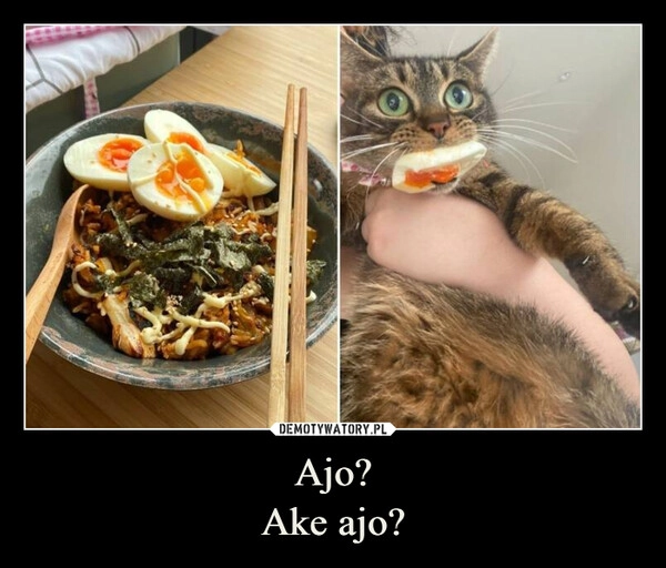 
    Ajo?
Ake ajo?