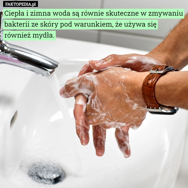 
    Ciepła i zimna woda są równie skuteczne w zmywaniu bakterii ze skóry pod