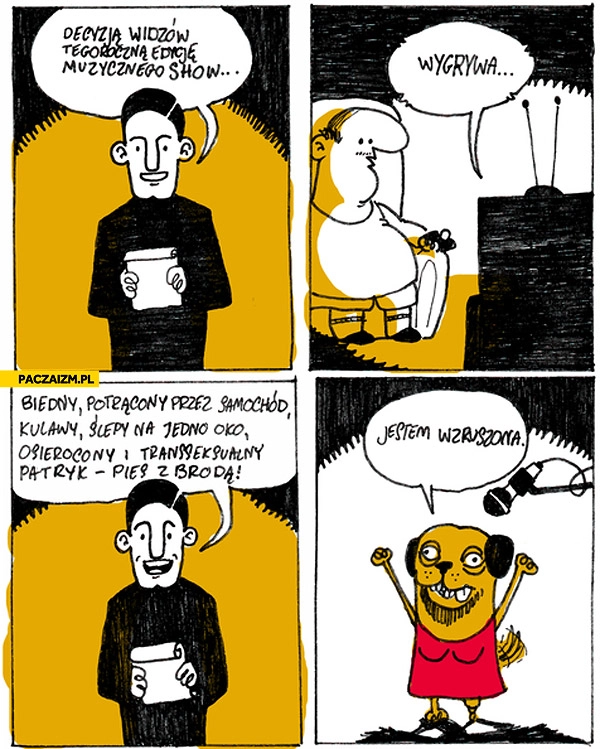 
    Patryk pies z brodą wygrywa