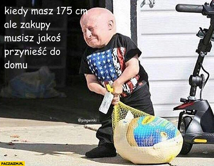 
    Kiedy masz 175cm, ale zakupy musisz jakoś przynieść do domu karzeł