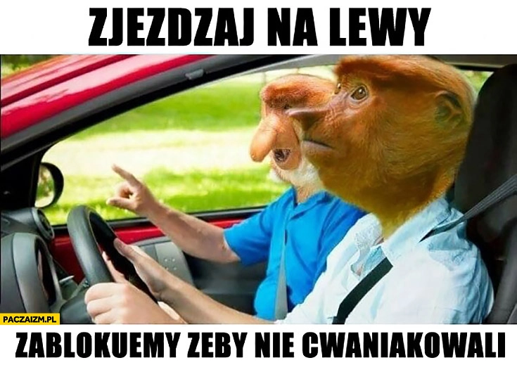 
    Zjeżdżaj na lewy pas, zablokujemy ich żeby nie cwaniakowali typowy Polak nosacz małpa