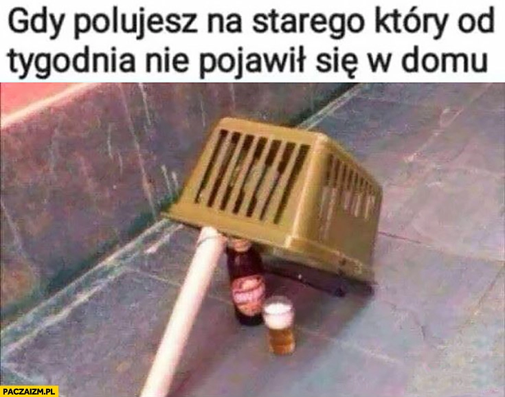 
    Gdy polujesz na starego który od tygodnia nie pojawił się w domu pułapka z piwem