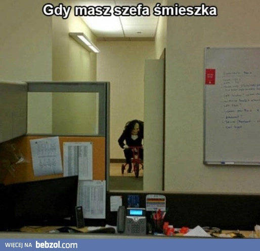 
    Szef śmieszek