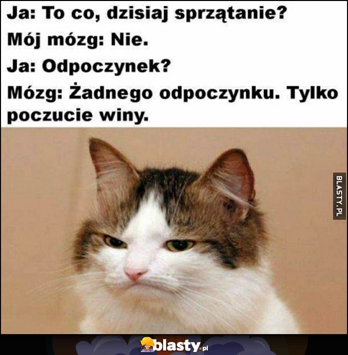 
    To co dzisiaj sprzątanie? Mój mózg: nie. Odpoczynek? Żadnego odpoczynku, tylko poczucie winy kot kotek