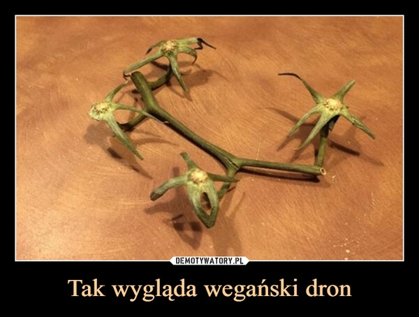 
    Tak wygląda wegański dron