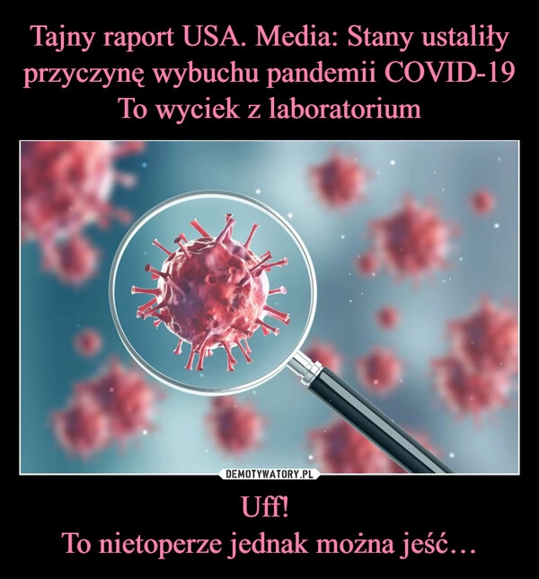 
    Tajny raport USA. Media: Stany ustaliły przyczynę wybuchu pandemii COVID-19
To wyciek z laboratorium Uff! 
To nietoperze jednak można jeść…