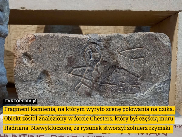 
    Fragment kamienia, na którym wyryto scenę polowania na dzika. Obiekt został